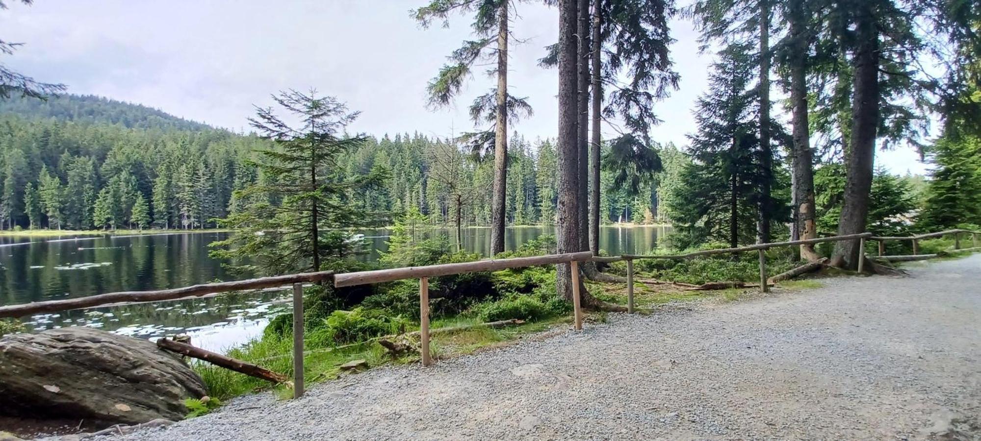Fewo-Harlachberg-Blick-1 Bodenmais Extérieur photo