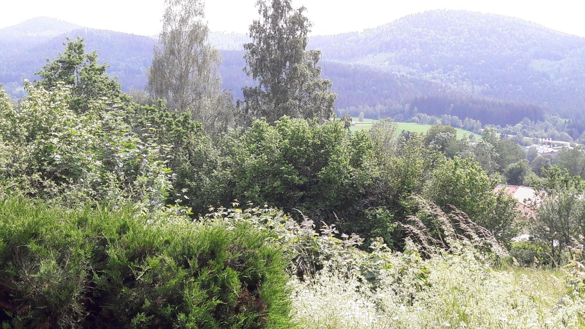 Fewo-Harlachberg-Blick-1 Bodenmais Extérieur photo
